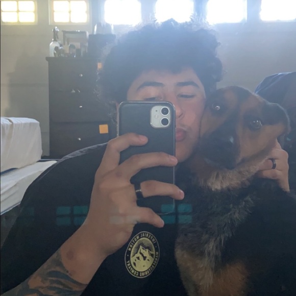 Meet your Posher, Gabriel - Picture 4 of 6